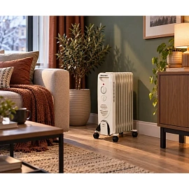 Радиатор масляный BigTech WBH001