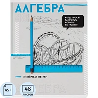 Тетрадь предметная по алгебре Феникс+ А5+ 48 листов с рисунком в клетку УФ-выборочный глянцевый лак