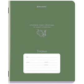 Тетрадь 12 л. BRAUBERG клетка, обложка картон, PHRASES, 107777