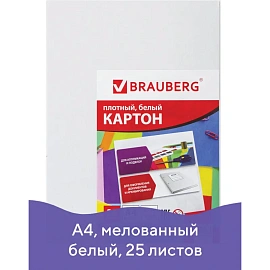 Картон белый А4 МЕЛОВАННЫЙ (белый оборот), 25 листов, BRAUBERG, 210х297 мм, 124021