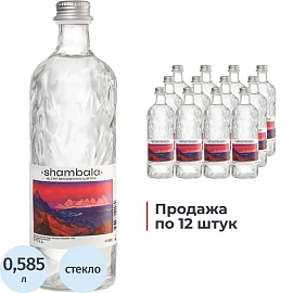 Вода минеральная Шамбала Горная столовая негазированная 0.585 л