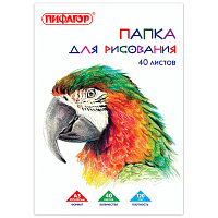Папка для рисования БОЛЬШОГО ФОРМАТА А3, 40 л., 120 г/м2, ПИФАГОР, 297х420 мм, "Попугай", 129219 фото Папка для рисования БОЛЬШОГО ФОРМАТА А3, 40 л., 120 г/м2, ПИФАГОР, 297х420 мм, "Попугай", 129219