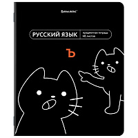 Тетрадь предметная МЕМЫ 48 л., TWIN-лак, РУССКИЙ ЯЗЫК, линия, подсказ, BRAUBERG, 405105 фото Тетрадь предметная МЕМЫ 48 л., TWIN-лак, РУССКИЙ ЯЗЫК, линия, подсказ, BRAUBERG, 405105