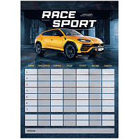 Магнитный планер расписание уроков с маркером А3 ArtSpace "Пиши-Стирай. Race Sport фото Магнитный планер расписание уроков с маркером А3 ArtSpace "Пиши-Стирай. Race Sport
