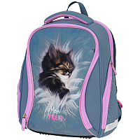 Ранец Berlingo Nova "Meow friend" 37*28*18см, 2 отделения, 2 кармана, анатомическая спинка фото Ранец Berlingo Nova "Meow friend" 37*28*18см, 2 отделения, 2 кармана, анатомическая спинка