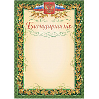 Благодарность А4 140 г/кв.м (40 штук в упаковке, КЖ-158уп) фото Благодарность А4 140 г/кв.м (40 штук в упаковке, КЖ-158уп)