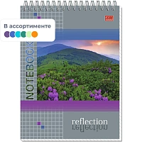 Блокнот Полином Природа А5 80 листов в клетку на спирали (145х203 мм)