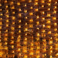 Гирлянда светодиодная Сеть 288 LED, 2х1,5м, черный ПВХ,ТЕПЛЫЙ БЕЛЫЙ 215-026