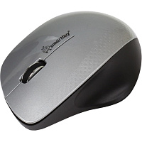 Мышь беспроводная Smartbuy 309AG серебристая (SBM-309AG-SK) фото Мышь беспроводная Smartbuy 309AG серебристая (SBM-309AG-SK)