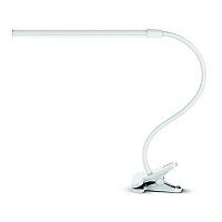 Светильник настольный Arte Lamp Conference A1106LT-1WH LED белый фото Светильник настольный Arte Lamp Conference A1106LT-1WH LED белый