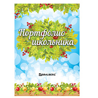 Листы-вкладыши для портфолио школьника, 14 разделов, 16 листов, "Окружающий мир", BRAUBERG, 126896 фото Листы-вкладыши для портфолио школьника, 14 разделов, 16 листов, "Окружающий мир", BRAUBERG, 126896