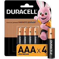 Батарейка ААА мизинчиковая Duracell Basic (4 штуки в упаковке) фото Батарейка ААА мизинчиковая Duracell Basic (4 штуки в упаковке)