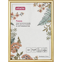 Рамка Attache А4 21x30 см пластиковый багет 14 мм золотистая фото Рамка Attache А4 21x30 см пластиковый багет 14 мм золотистая