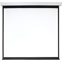 Экран настенный моторизированный Digis DSEF-1106, 1:1, 112 (206x209) фото Экран настенный моторизированный Digis DSEF-1106, 1:1, 112 (206x209)