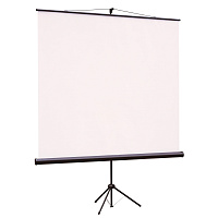 Экран для проектора Viewscreen Clamp 150x150 (TCL-1101) фото Экран для проектора Viewscreen Clamp 150x150 (TCL-1101)