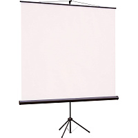 Экран для проектора Viewscreen Clamp 160x160 (TCL-1104) фото Экран для проектора Viewscreen Clamp 160x160 (TCL-1104)