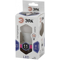 Лампа светодиодная Эра LED А 11Вт E27 6000К 880Лм Б0031394 фото Лампа светодиодная Эра LED А 11Вт E27 6000К 880Лм Б0031394