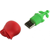 Флешка USB 2.0 32 ГБ Smartbuy Wild Series Роза (SB32GBRose) фото Флешка USB 2.0 32 ГБ Smartbuy Wild Series Роза (SB32GBRose)