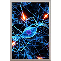 Панель световая (лайтбокс) ProMEGA Frame Led (панель А3+, постер 297x420 мм, односторонняя) фото Панель световая (лайтбокс) ProMEGA Frame Led (панель А3+, постер 297x420 мм, односторонняя)