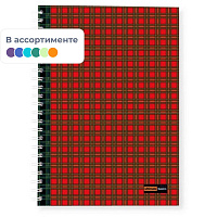 Тетрадь общая Attache А4 96 листов в клетку на спирали ( Soft Touch) фото Тетрадь общая Attache А4 96 листов в клетку на спирали ( Soft Touch)