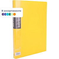 Папка файловая на 40 файлов А4 24 мм (толщина обложки 0,75 мм) фото Папка файловая на 40 файлов А4 24 мм (толщина обложки 0,75 мм)