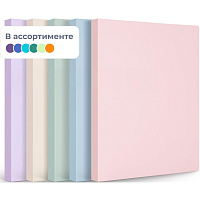Папка файловая на 40 файлов A4 24 мм (толщина обложки 0,7 мм) фото Папка файловая на 40 файлов A4 24 мм (толщина обложки 0,7 мм)