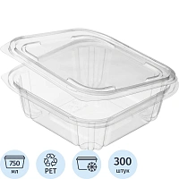Контейнер одноразовый с крышкой ЮП-РКСП 165х170х53 мм 750 мл прозрачный (300 штук в упаковке) фото Контейнер одноразовый с крышкой ЮП-РКСП 165х170х53 мм 750 мл прозрачный (300 штук в упаковке)