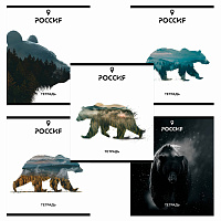 Тетрадь А5 48 л. ПЗБМ, скоба, клетка, Soft Touch, брайль, "Место Силы" (микс в спайке), 23294