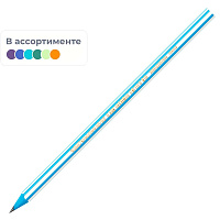 Карандаш чернографитный HB BIC Evolution Stripes заточенный шестигранный фото Карандаш чернографитный HB BIC Evolution Stripes заточенный шестигранный