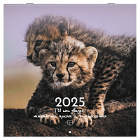 Календарь настенный перекидной на 2025 г., BRAUBERG, 12 листов, 29х29 см, "Детёныши", 116171 фото Календарь настенный перекидной на 2025 г., BRAUBERG, 12 листов, 29х29 см, "Детёныши", 116171