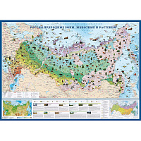 Карта России физическая 1:6 200 000 настенная 143x102 см с ламинацией фото Карта России физическая 1:6 200 000 настенная 143x102 см с ламинацией