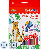 Карандаши цветные №1 School ColorPics 36 карандашей 36 цветов шестигранные фото Карандаши цветные №1 School ColorPics 36 карандашей 36 цветов шестигранные