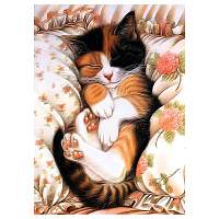 Пазл 1000 эл. ТРИ СОВЫ "Спящий котик фото Пазл 1000 эл. ТРИ СОВЫ "Спящий котик