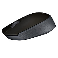 Мышь беспроводная Logitech M171 черно-серая (910-004643) фото Мышь беспроводная Logitech M171 черно-серая (910-004643)