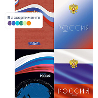 Дневник школьный Апплика Российского школьника 1-11 классы твёрдая обложка фото Дневник школьный Апплика Российского школьника 1-11 классы твёрдая обложка