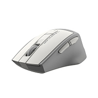 Мышь беспроводная A4Tech Fstyler FG30S бело-серая (FG30S WHITE) фото Мышь беспроводная A4Tech Fstyler FG30S бело-серая (FG30S WHITE)
