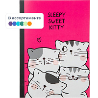 Тетрадь общая M&G So Many Cats B5 60 листов в клетку на склейке фото Тетрадь общая M&G So Many Cats B5 60 листов в клетку на склейке