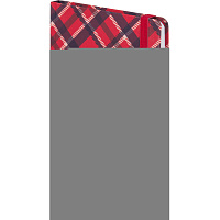 Ежедневник недатированный Attache Tartan 7БЦ Soft Touch А5 128 листов красный с фиксирующей резинкой фото Ежедневник недатированный Attache Tartan 7БЦ Soft Touch А5 128 листов красный с фиксирующей резинкой