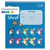 Тетрадь школьная А5 12л №1School Shark линия,скреп, ВД-лак, в асс фото Тетрадь школьная А5 12л №1School Shark линия,скреп, ВД-лак, в асс