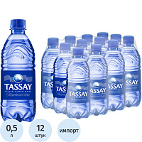Вода минеральная Tassay столовая газированная пэт 0.5 л фото Вода минеральная Tassay столовая газированная пэт 0.5 л