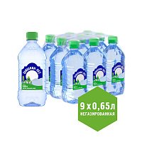 Вода питьевая Шишкин Лес негазированная 0.65 л фото Вода питьевая Шишкин Лес негазированная 0.65 л