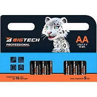 Батарейка BigTech Professional АA/LR6 уп/12шт фото Батарейка BigTech Professional АA/LR6 уп/12шт