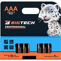 Батарейка BigTech Professional ААA/LR03 уп/12шт фото Батарейка BigTech Professional ААA/LR03 уп/12шт