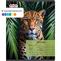 Тетрадь школьная Комус Класс Дикие животные А5 24 листов в клетку (ВД-лак) фото Тетрадь школьная Комус Класс Дикие животные А5 24 листов в клетку (ВД-лак)