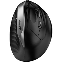 Мышь беспроводная Genius Ergo 8250S серебристая (31030031401) фото Мышь беспроводная Genius Ergo 8250S серебристая (31030031401)
