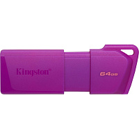 Флешка USB 3.2 64 ГБ Kingston Exodia M (KC-U2L64-7LP) фото Флешка USB 3.2 64 ГБ Kingston Exodia M (KC-U2L64-7LP)