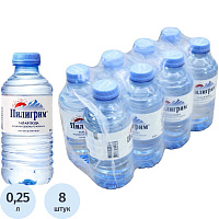 Вода минеральная Пилигрим столовая негазированная 0.25 л фото Вода минеральная Пилигрим столовая негазированная 0.25 л