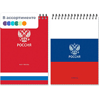 Блокнот А5 Россия 50л УФ лак клетка, спираль 2 дизайна, ассорти, 3344 фото Блокнот А5 Россия 50л УФ лак клетка, спираль 2 дизайна, ассорти, 3344