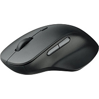 Мышь беспроводная Rapoo M50 Plus Silent черная (M50PLUS-BL) фото Мышь беспроводная Rapoo M50 Plus Silent черная (M50PLUS-BL)