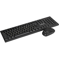 Комплект беспроводной клавиатура и мышь ExeGate Professional Standard Combo MK280 (EX296104RUS) фото Комплект беспроводной клавиатура и мышь ExeGate Professional Standard Combo MK280 (EX296104RUS)